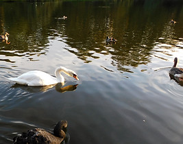 DSCN3090.JPG