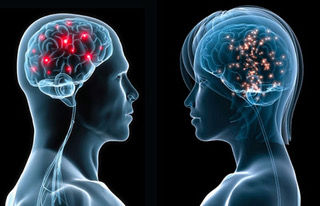 Neuropsicología de la Sexualidad