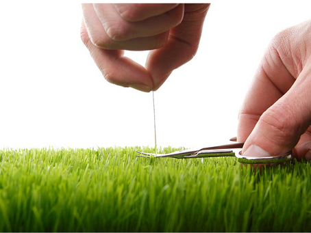 Neuropsicología de la personalidad anancástica