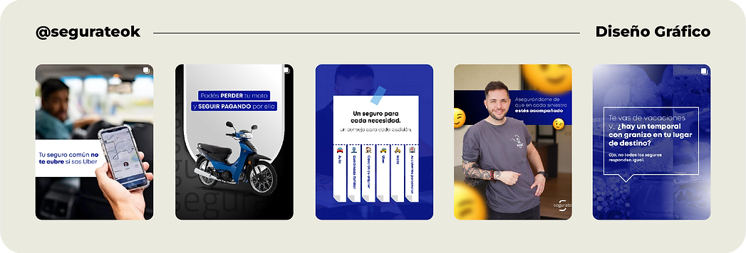 Segurate Diseño de Feed