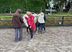 IMG_9026_edited.jpg