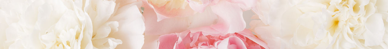 AdobeStock_416581245.jpeg