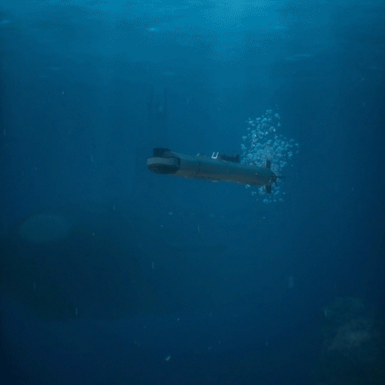 6.gif