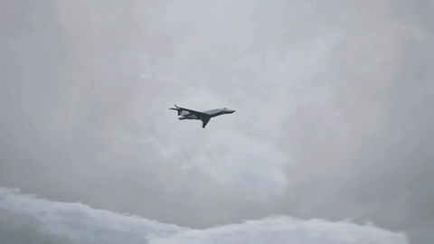 8.gif