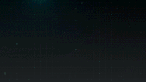 4.gif