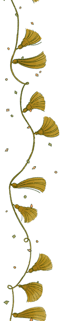 tassel border_edited.png