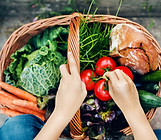 Vegetable Basket