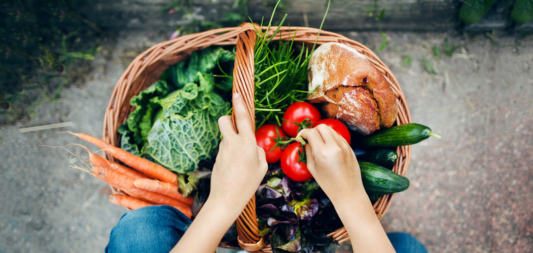 Vegetable Basket