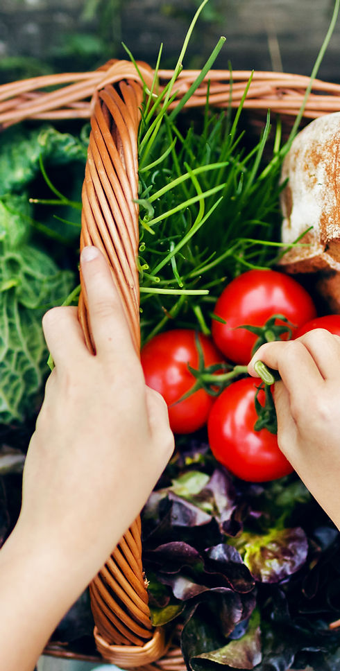 Vegetable Basket