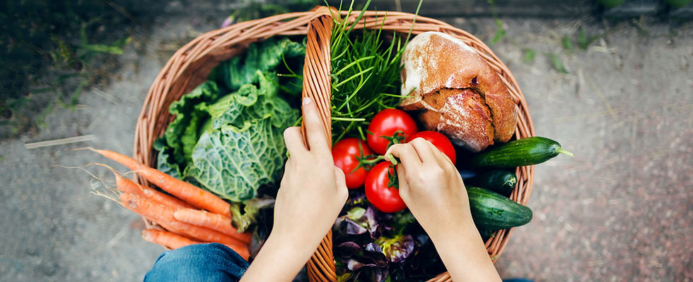 Vegetable Basket