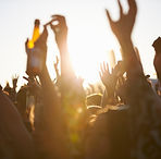 Festival Crowd