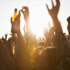 festival Crowd