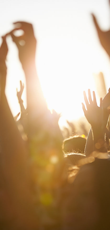 Festival Crowd