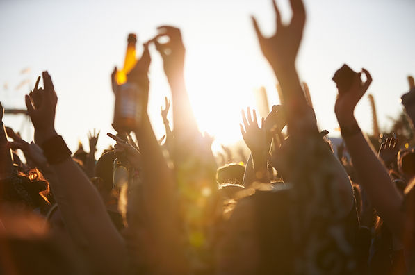 Festival Crowd