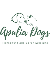 Logo 2025 weiß.png
