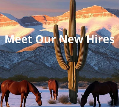 Meet Our New Hires.jpg.jpg