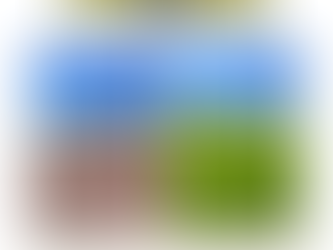 Fun Fact: Hydromulch Improves Soil Health