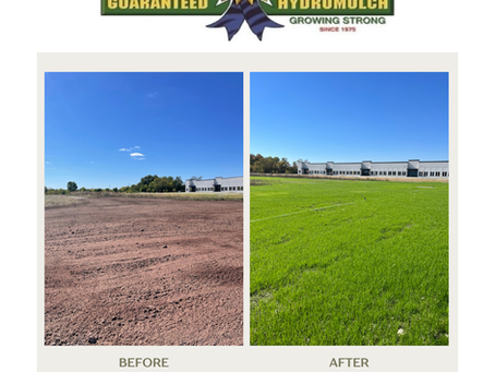 Fun Fact: Hydromulch Improves Soil Health