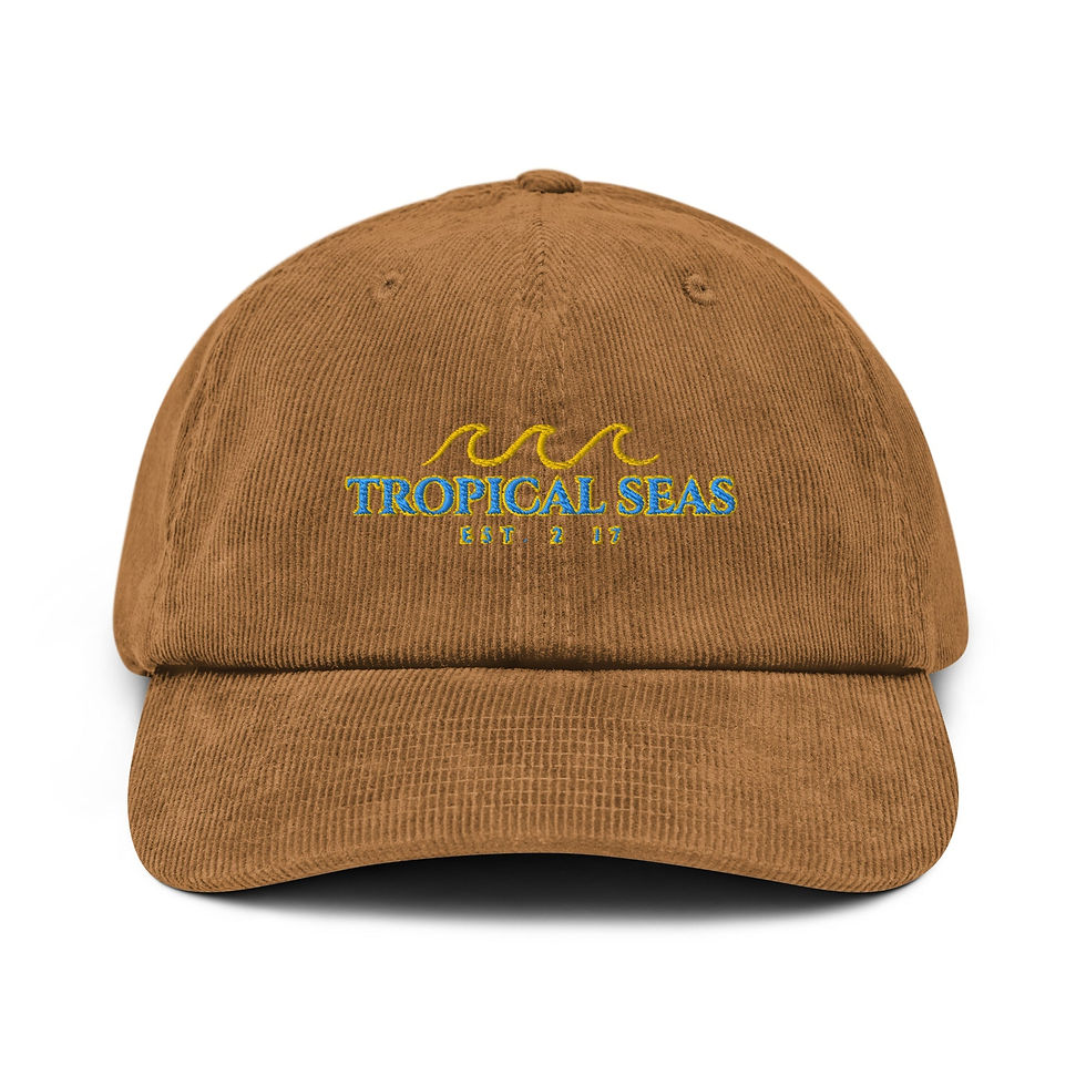 Thumbnail: Triple Wave Corduroy Hat