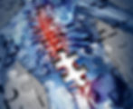 Solving the SCS Puzzle: Which SCS works best?