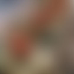 Domo – Asian Fusion with a Middle‑Eastern Twist🥢