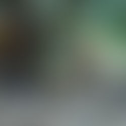 Klil - the first ecologival village in Israel