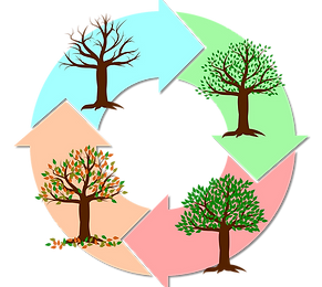 seasons-2019523_1280.png