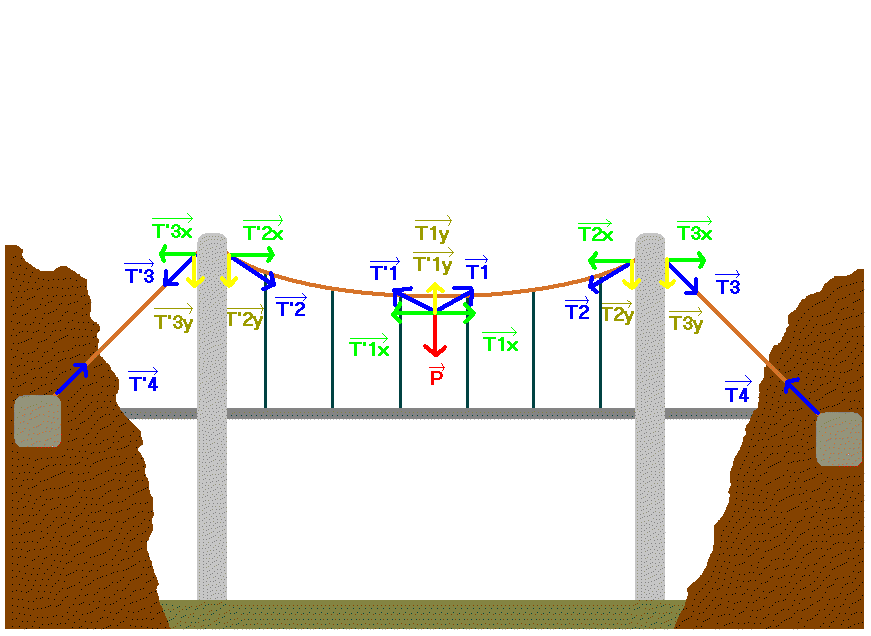 La répartition des forces dans un pont suspendus