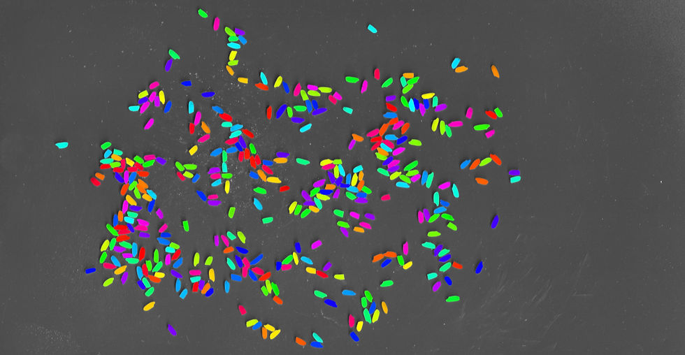 Grainscope AI Inspecting Individual grains with colour rectifying algorithms.