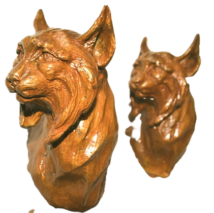 Linces2_edited.png