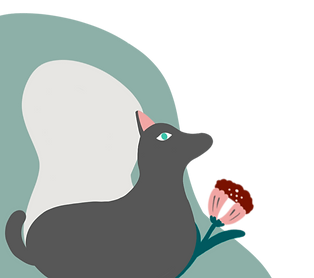 Petto Bello hund 1-min_edited.png