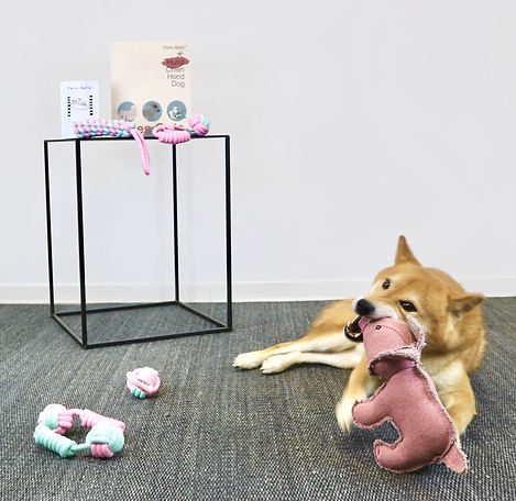 Geschenke für Hunde 2-min_edited.jpg