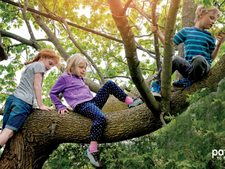 Risky Play: How Chiropractic Supports Active Kids in Saginaw, TX