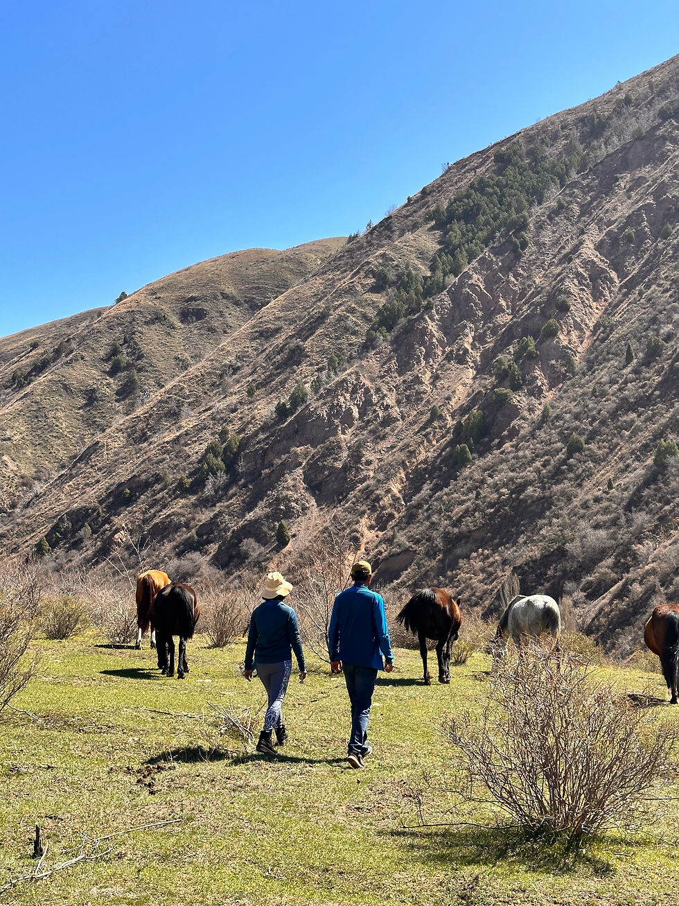 Sarmin & Bahar walk alongside grazing horses, surrounded by the rugged and breathtaking landscape of Kyrgyzstan's mountains under a clear blue sky.