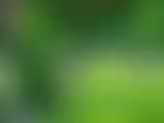 Chapel Hill Will and Trust Lawyers: Why Burial Plots Don’t Need to Be Included in Your Living Trust