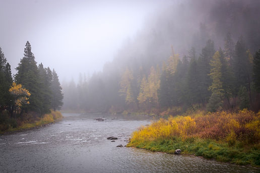 Blackfoot River, Montana-1 (1).jpg