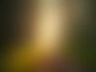 Unveiling the Path to Soul Awakening