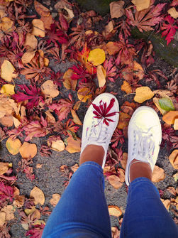 Embracing the brightly coloured autumnal leaves cover the ground and one bright red leaf lands on a bright white trainer