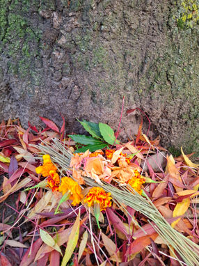 Connecting with nature : land offerings of flowers and herbs