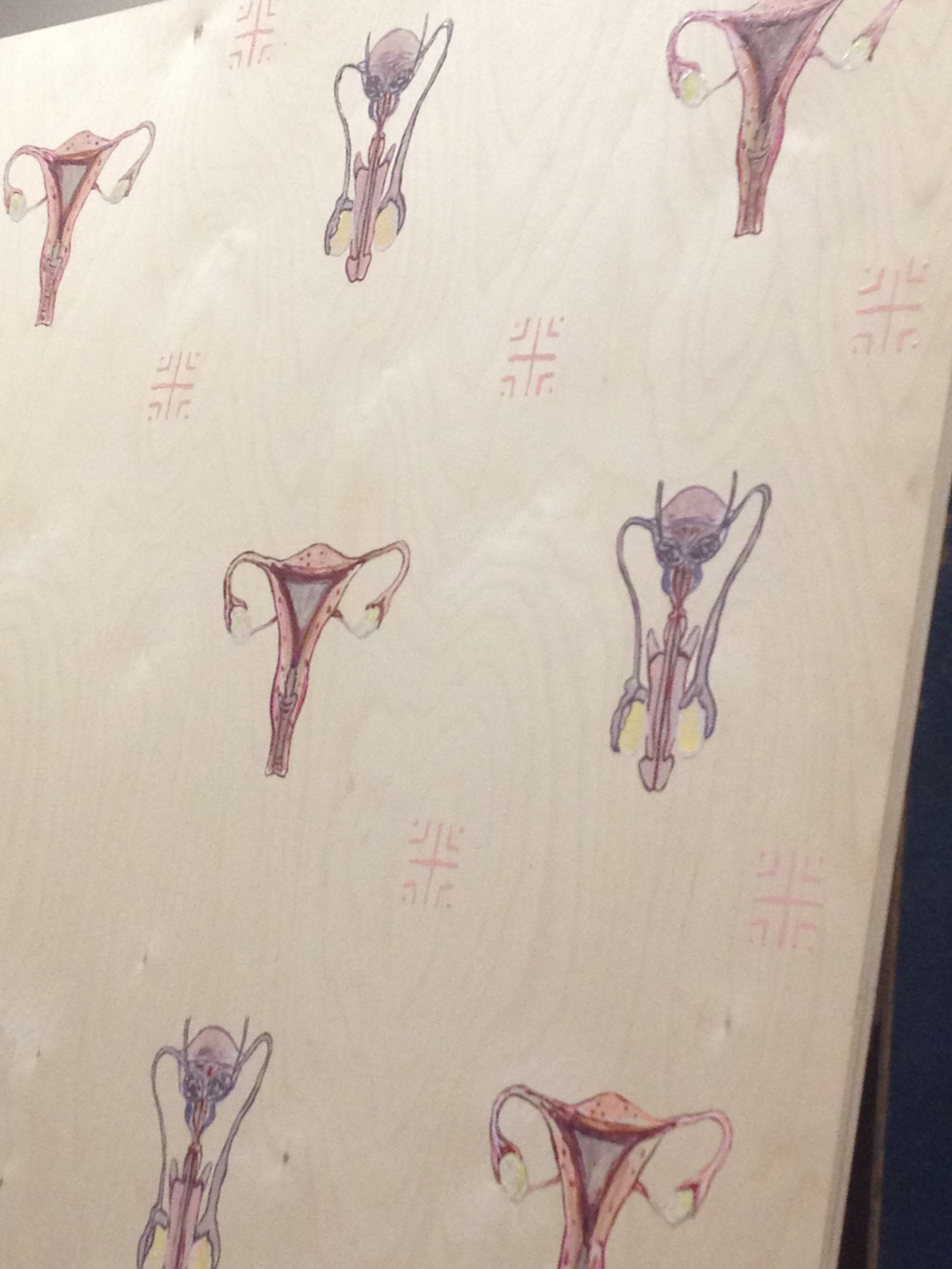 Birth Labyrinth (Prenatal), détail