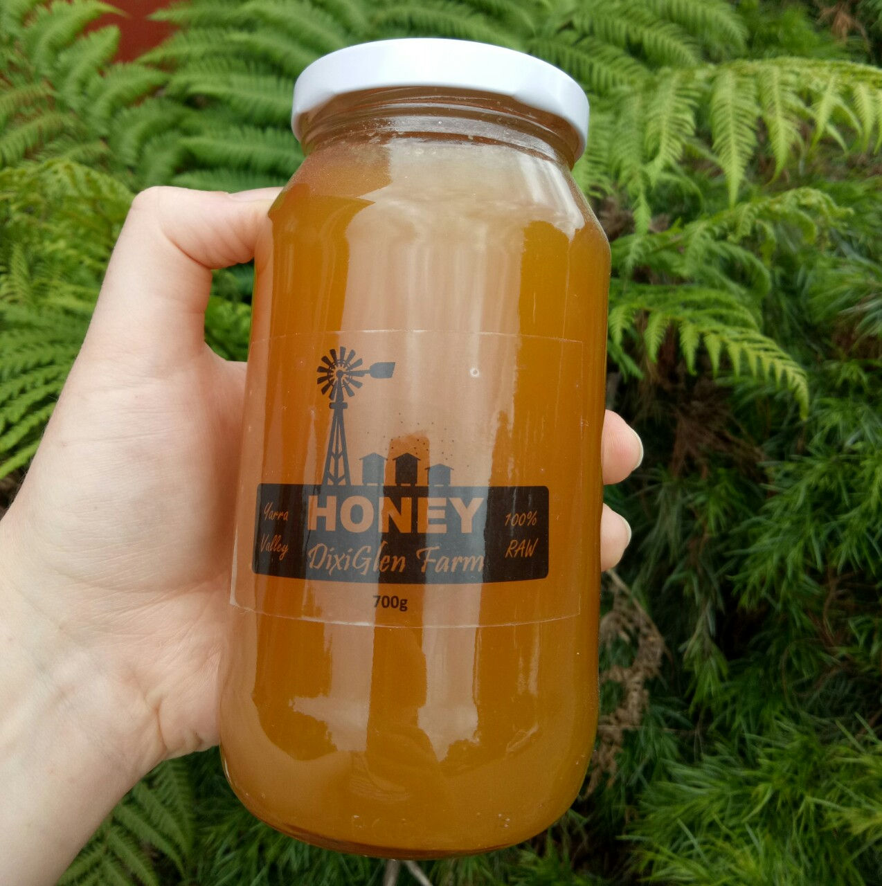 DixiGlen Farm - 100% Raw Honey