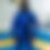 Miniature : ADULT BLUE GI
