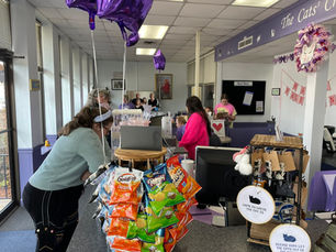 Adoption Center & Cat Café operating hours announced