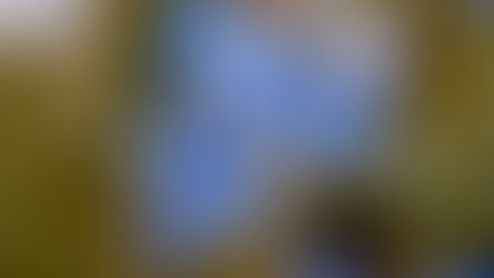 How This Slug Is The Most Beautiful Animal In The World! | Glaucus Atlanticus The “Blue Dragon”