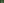 Fern Plant
