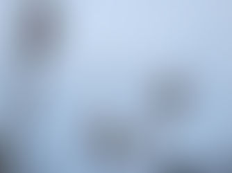 Blizzard Conditions in Maine