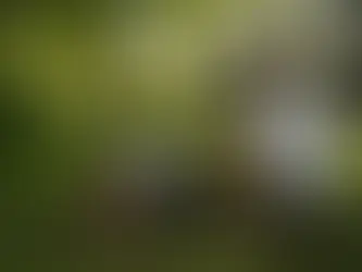 Personal Trainer Michael Christian Meyer begleitet einen Kunden beim Outdoor-Training in München und achtet auf die korrekte Ausführung einer Plank-Übung.