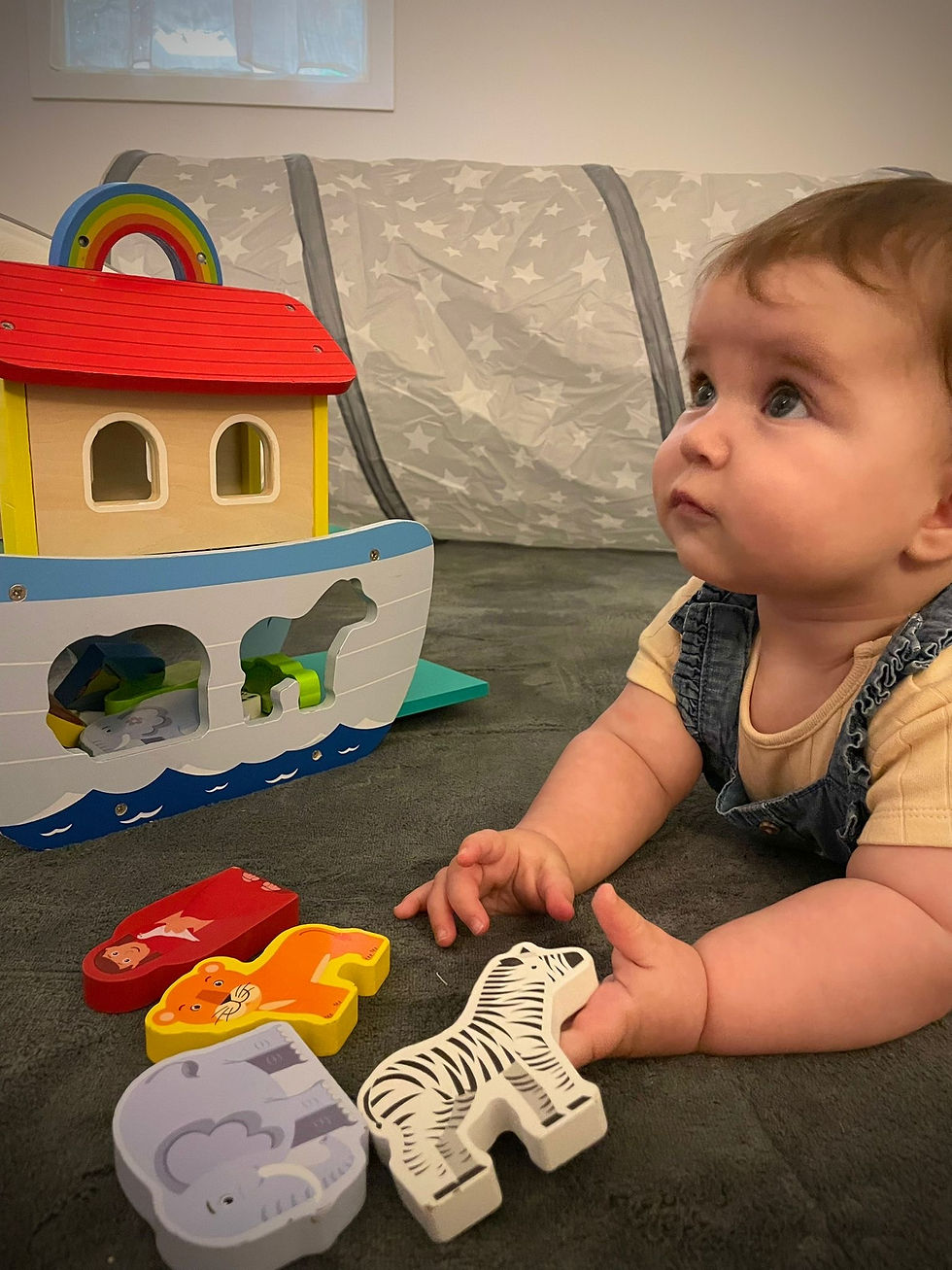 A cute baby playing in The Forest Nook