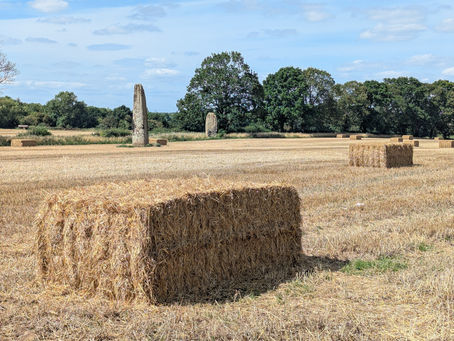 Has autumn come early - ask AI?