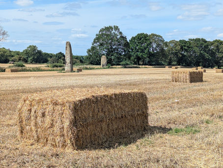 Has autumn come early - ask AI?